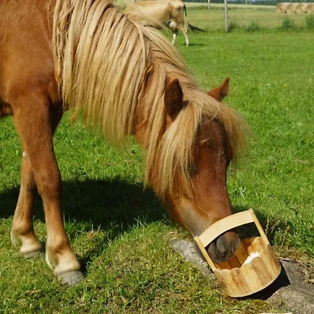 Vendégház Na Farme Se Saunou A Virivkou, I S Jizdou Na Koni