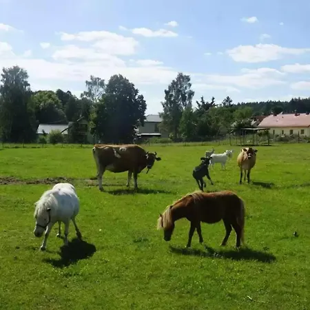 Na Farme Se Saunou A Virivkou, I S Jizdou Na Koni * Příbram